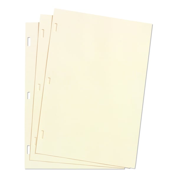 Wilson Jones Minute Book Ledger Sheet, 11x8-1/2, PK100 W901-10 - main